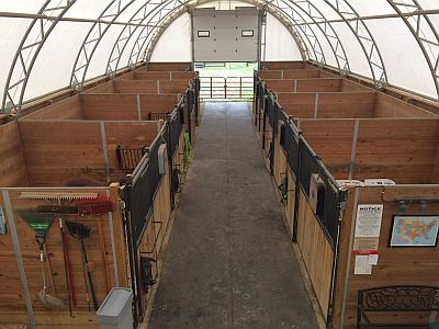 Inside Stalls